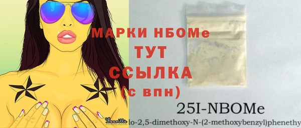 сатива Карпинск