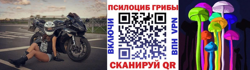Псилоцибиновые грибы мицелий Ливны
