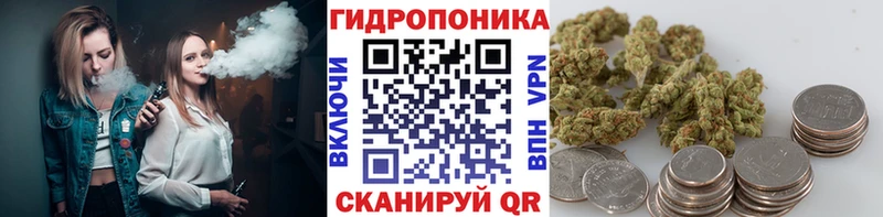 сайты даркнета как зайти  Ливны  Бошки Шишки индика  сколько стоит 